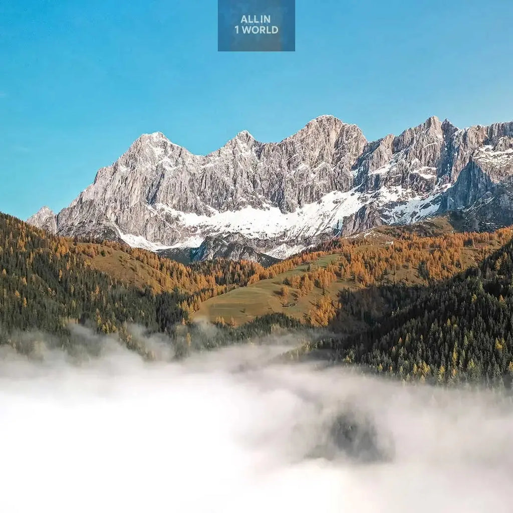 Waidzeit Dachstein Automatic Watch Wine Barrel Gentlemen - Limited all in 1 world