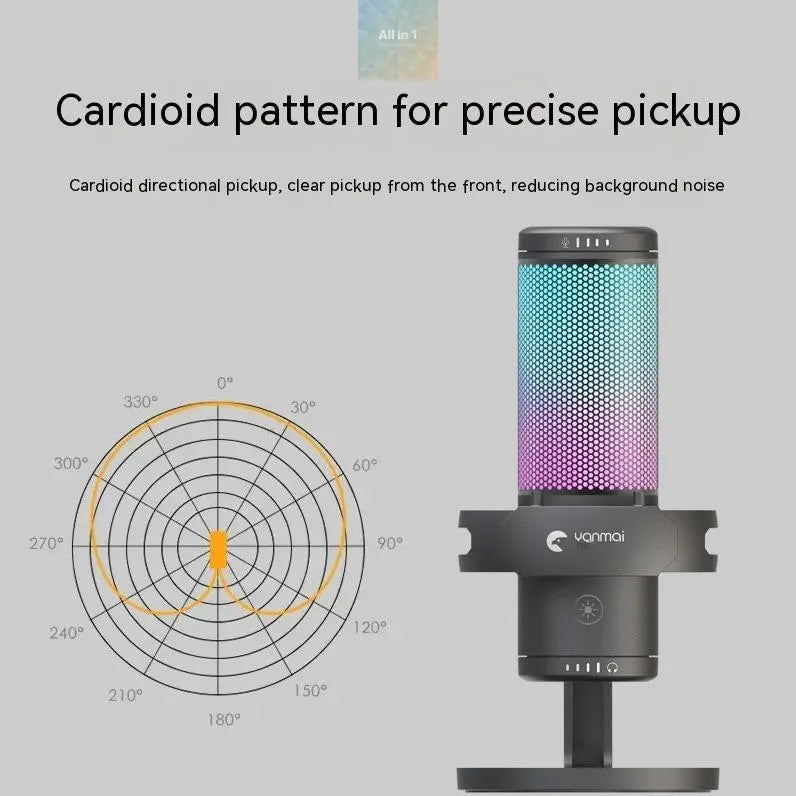 Monitor Function Type-C Computer Dual Interface Microphone - All in 1 world